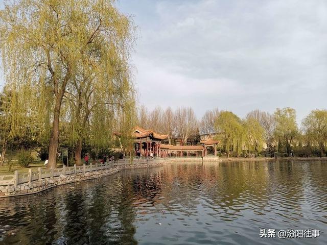 汾阳往事｜殷维明：杏花村游记——汾酒工业园林赏杏花