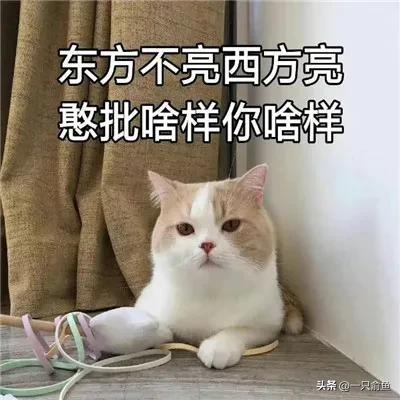 束英华