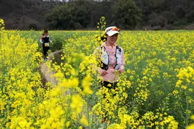 油菜花海间奔跑、桃花栈道上疾驰......成都“动”起来了！图片