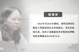 被“光环”罩晕了的女镇长图片