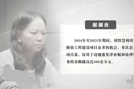 被“光环”罩晕了的女镇长图片