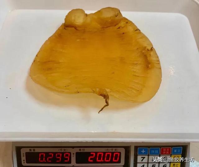 人工合成花胶 人工合成花胶可以吃吗