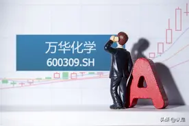 万华化学：聚氨酯龙头再迎新一轮成长，打造新材料平台型企业图片