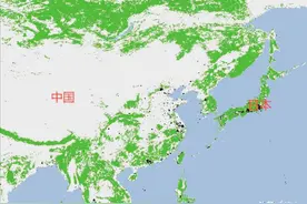 日本从中国进口一次性筷子是为保护森林？你想多了图片