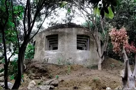 榉林山往事图片