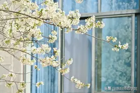 心动！我与春光的合影大作战图片