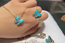 7万8的梵克雅宝新品珠宝，蝴蝶项链，用的是中国四大玉石之一图片