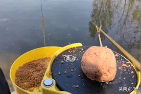 隔夜饵料还能用吗？鱼饵公司才建议丢掉！真钓鱼高手都会这样处理图片