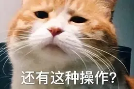 给对象打语音“对方忙线中，怎么不接电话？”他们会有什么反应图片