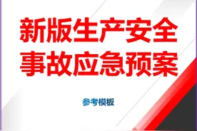 新版生产安全事故应急预案参考模板图片