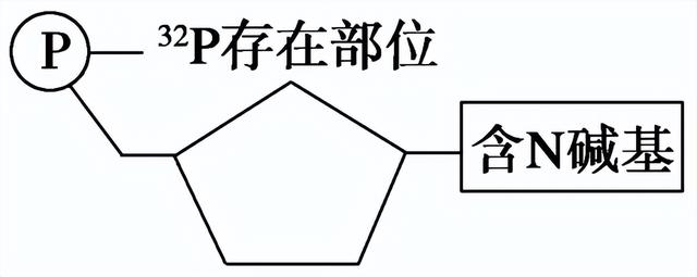 高中生物-基因的本质与表达