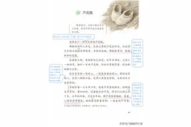 小学四年级下语文20课《芦花鞋》课堂笔记、练习题及阅读题图片