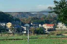 曼珠沙华的魔幻人生图片