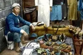 光绪十年，四川云顶山，巨蛇鏖战巨型蜈蚣之奇观图片