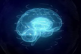 你了解你的身体吗——你的大脑80%都是水图片