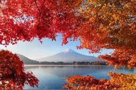 生肖虎晚年怎么生活？图片