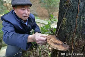 80岁老人娶42岁新娘，他们洞房花烛是归因于爱情，还是另有缘故图片