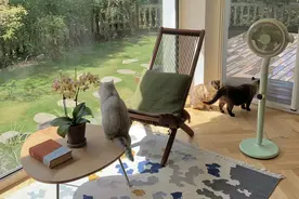 幸亏没听邻居的话，坚持买了一楼带院子的房子，简直不要太爽！图片