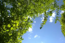 十日谈 | 万物生长，莫负岁华图片