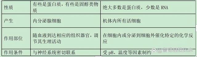 高中生物-人体内环境稳态的生理意义及调节