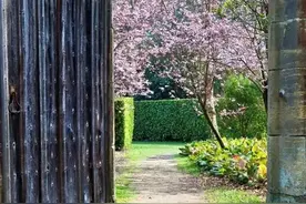 余生，若能拥有这样一座小花园，便心满意足。图片