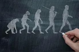 人体最“没用”的10大器官，很多人已经消失，你身上还有几个？图片