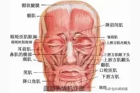 我们的表情图片