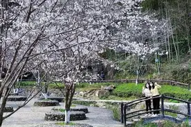 出游看这里！宜春宝藏打卡点图片