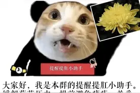 提肛能强身健体？图片