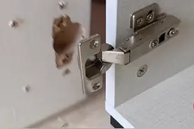 8款10元内的神器，修复常见80%的家居问题图片