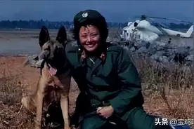 @笔杆先生：女军医冒险为野狼接生，最后野狼竟主动为军营站岗放哨，成了远近闻名的“侦察狼！”图片