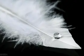 如果陷入三重梦境，可能永远无法从中解脱？梦中梦的恐怖揭秘图片