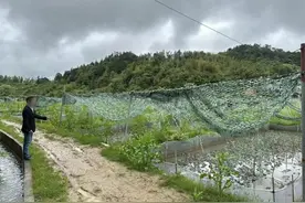 【以案释法】发短视频也要提防被贼“惦记”！图片