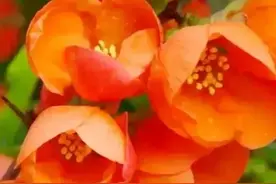 读书，会让我们变得更美好图片