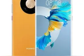 华为Mate40 Pro屏幕的梗图片