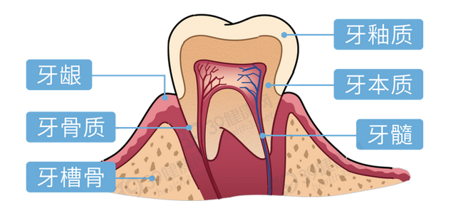 坑了无数人的「牙齿美白骗局」，别再上当了！有效的方法是这3种