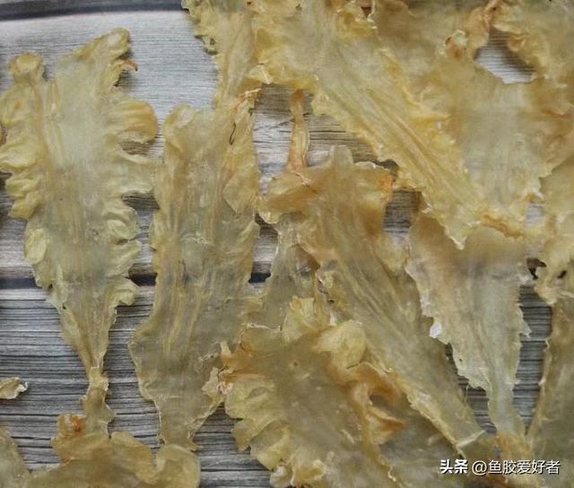 花胶筒和鳕鱼胶哪个好 花胶筒和鳕鱼胶哪个好一点