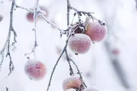 2022年终盘点——沪深300指增基金图片