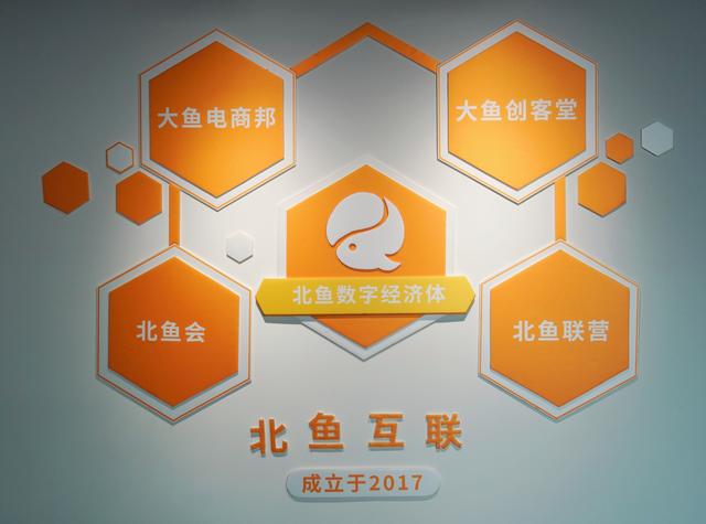 目前国内十大电商运营电商公司