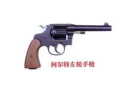 兵器中单兵之王——轻武器图片
