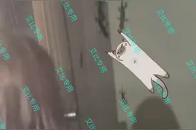 江苏一女子推开家门，发现墙上爬着很多壁虎，网友：你进错门了图片