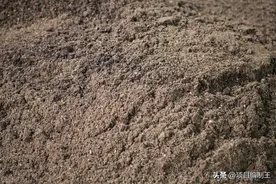 腐植酸肥料项目市场分析图片