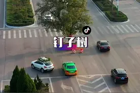 矗立在马路中间的钉子树，一钉就是未知数，就是这么豪横，为了和谐共处，我们选择绕道而行。#钉子树 #现场实拍#抖音看世界视频封面