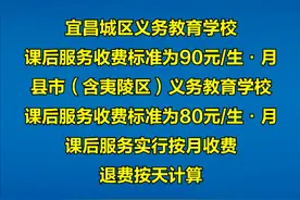 宜昌市义务教育学校课后服务收费标准图片