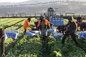 旅游签证能澳洲打工？如何网上自己申请澳洲旅游签证，三天下签！图片