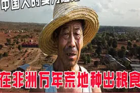 中国人有多牛，竟在非洲万年荒地种出粮食，外媒直言中国人真厉害图片