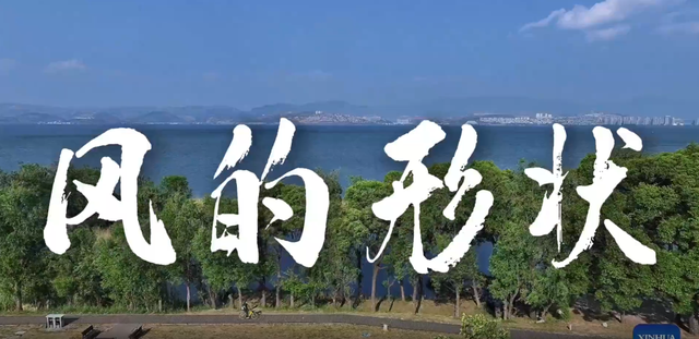 追“风”去大理