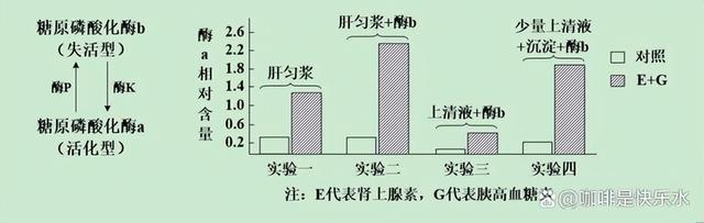 高中生物-人体内环境稳态的生理意义及调节