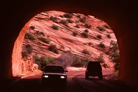 每年国庆必吵题：油车好还是电车好？图片