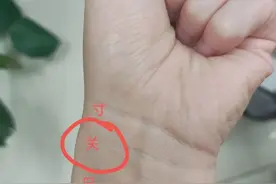 我为什么不敢看中医？把脉被勘破“隐私”，中医摸脉到底在摸什么？图片
